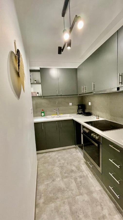 Gorgeous Renovated Apt. Close To Metro And Cultural Sites! Афины Экстерьер фото
